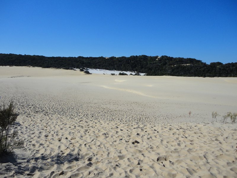 Fraser Island Tour Australia Travel Album