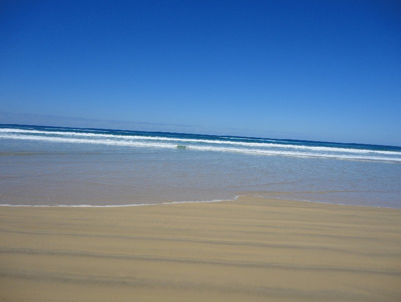   Fraser Island Australia Blog Photos