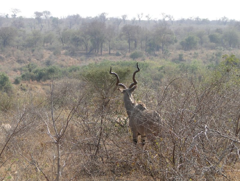   Mpumalanga South Africa Vacation Picture