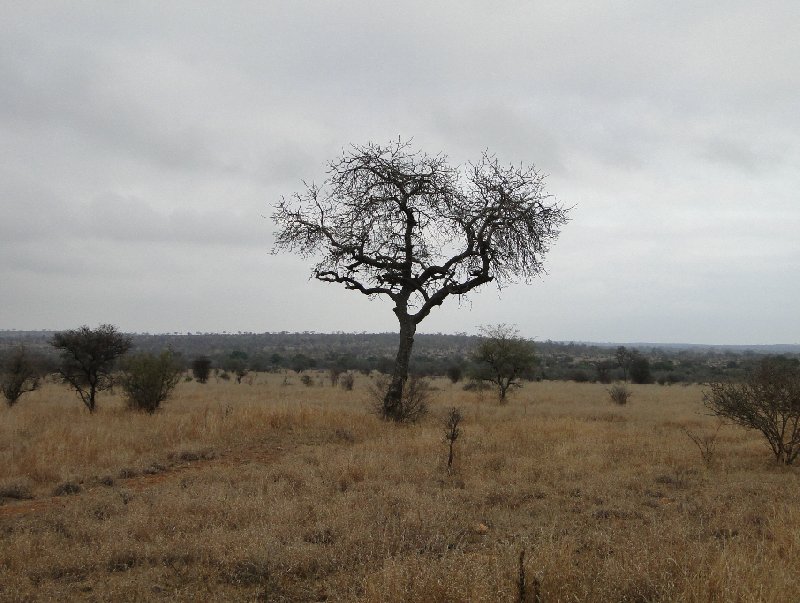 Kruger National Park camping safari Mpumalanga South Africa Travel Photos