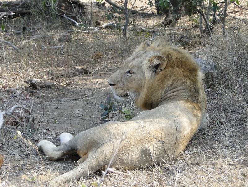   Mpumalanga South Africa Holiday Adventure