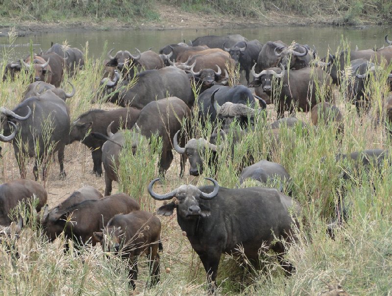   Mpumalanga South Africa Trip Photos