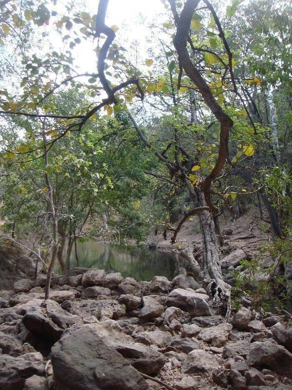 Fitzroy Crossing Australia 