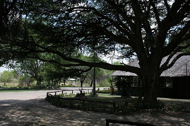 Photo Safari Hwange Zimbabwe safari