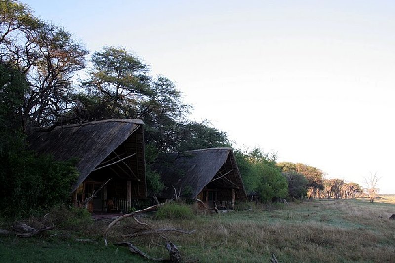 Photo Safari Hwange Zimbabwe Hwange