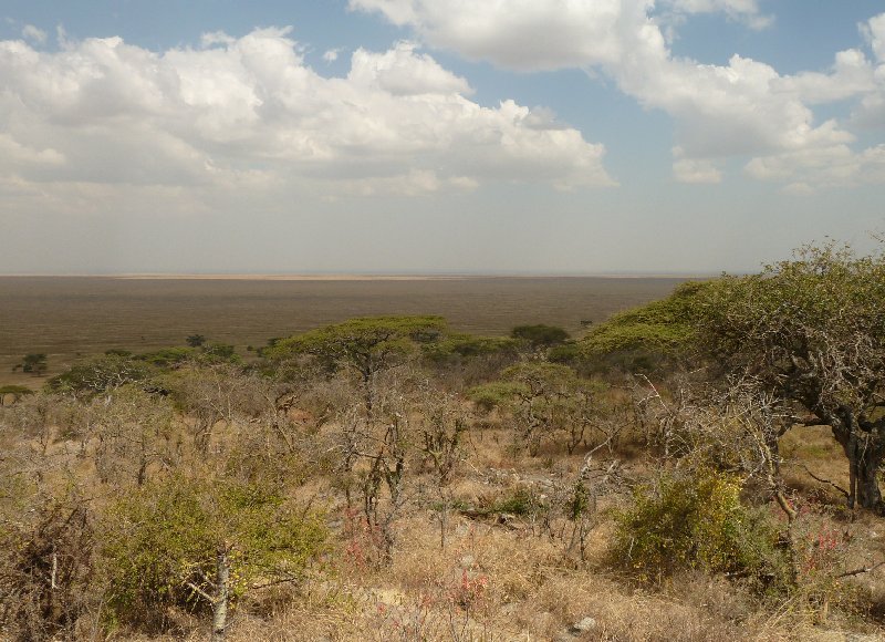Photo Ngorongoro Crater Lodge safari husband