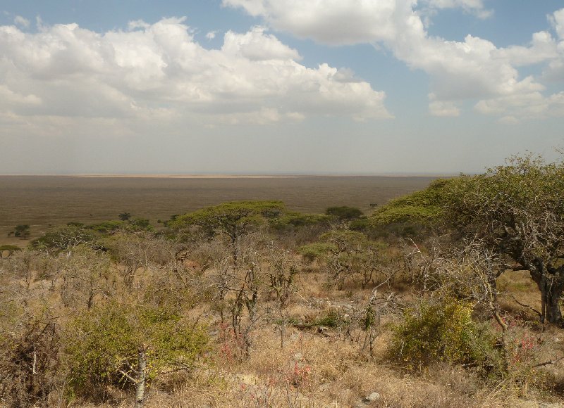 Ngorongoro Crater Lodge safari Tanzania Trip Photo