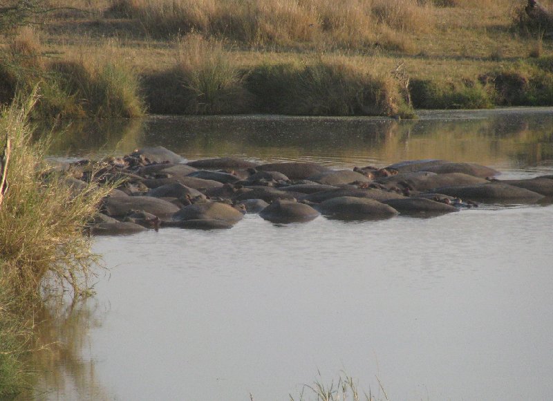 Ngorongoro Crater Lodge safari Tanzania Travel Album