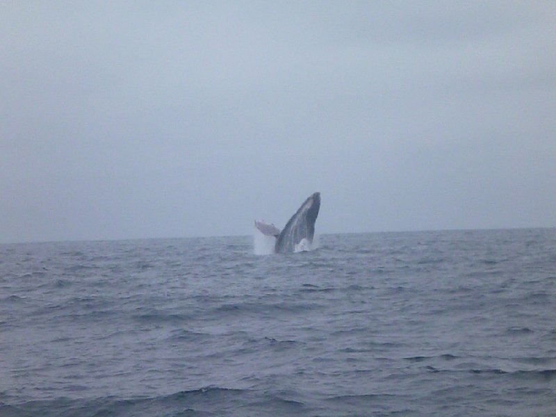 Galapagos Islands Ecuador Review Gallery