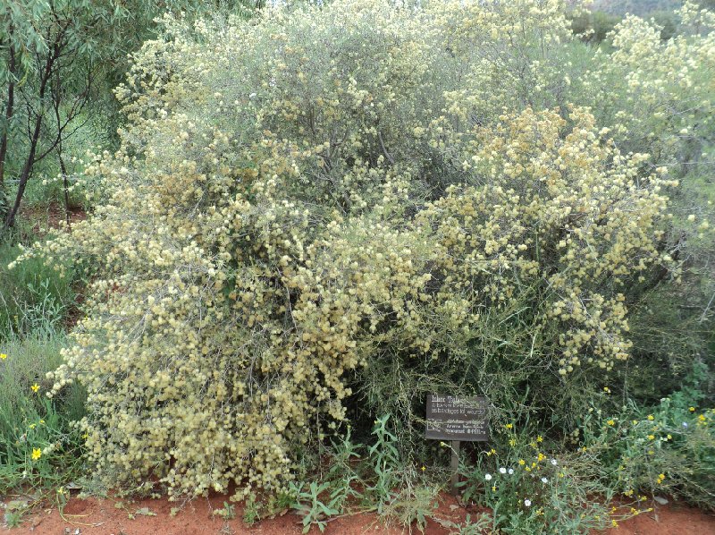 Alice Springs Australia 