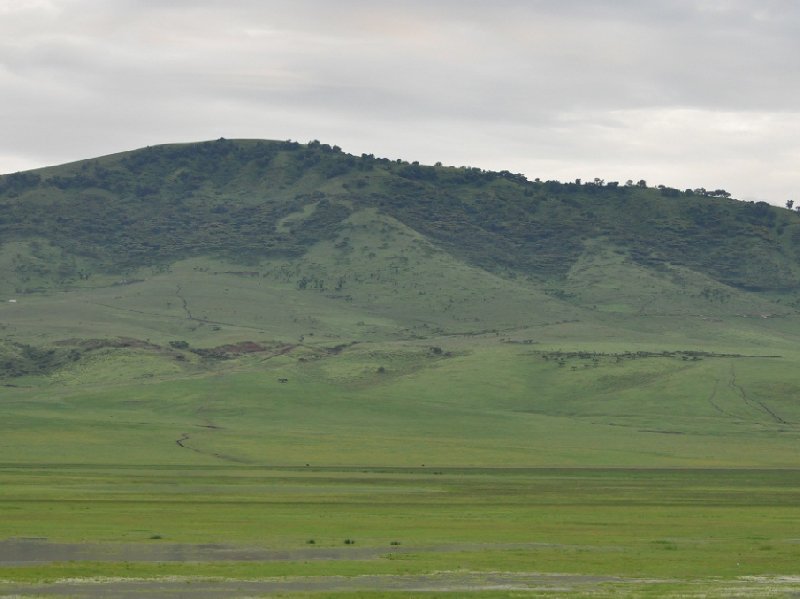 Serengeti NP Tanzania migration safari Seronera Blog Pictures