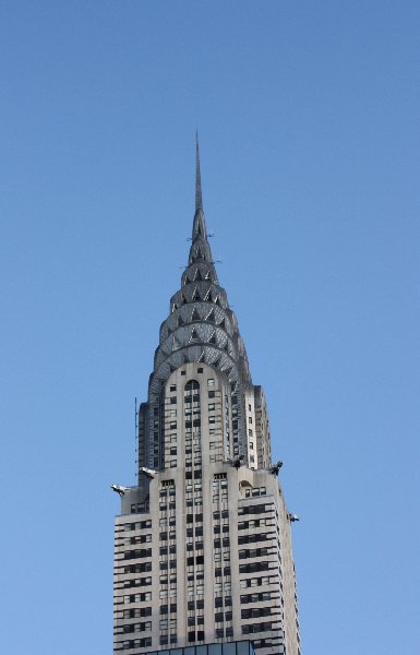 Photo Bus tour sightseeing in New York City Square