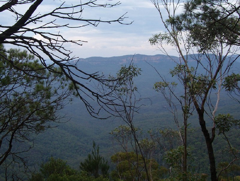   Blue Mountains Australia Blog Picture