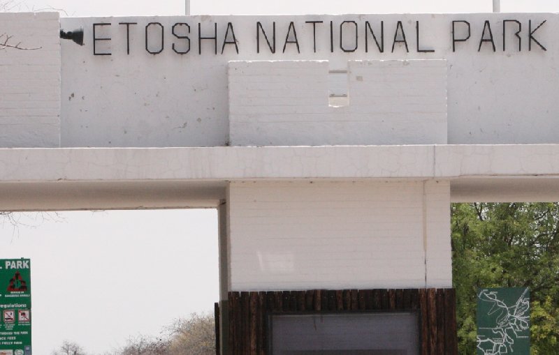 Etosha National Park Namibia Diary Photos