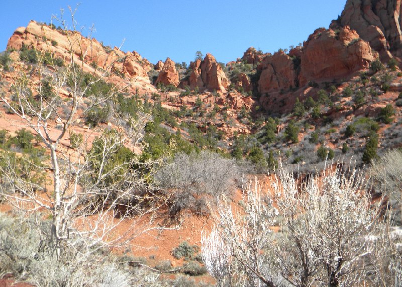 Zion National Park United States 