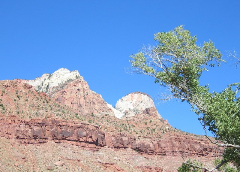 Zion National Park United States 