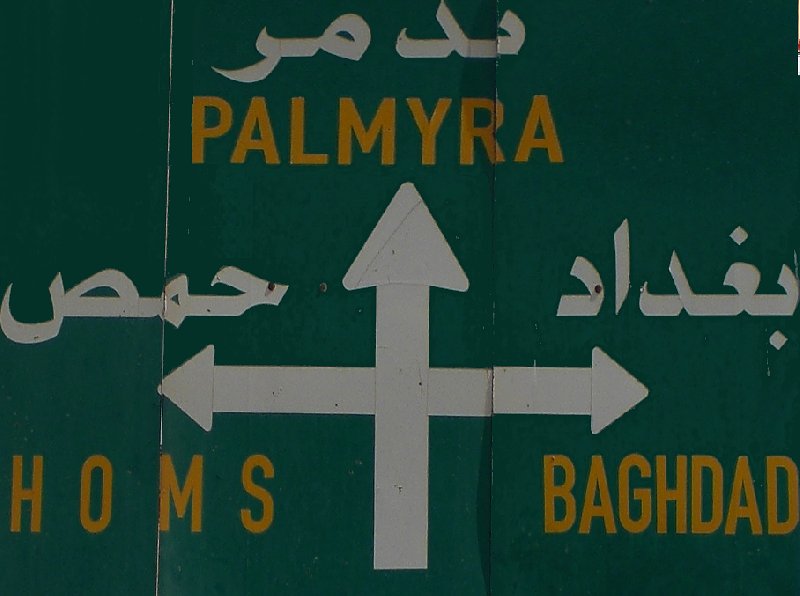   Palmyra Syria Photo Gallery