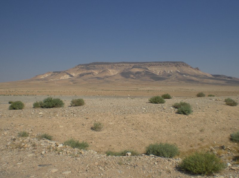 Guided Tour of Ancient Palmyra Syria Trip Photographs