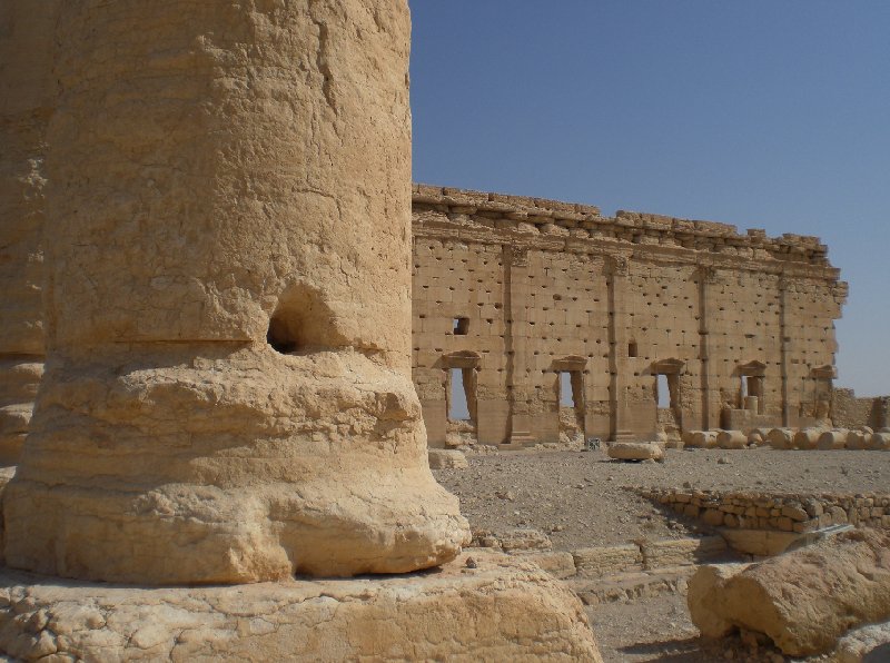 Guided Tour of Ancient Palmyra Syria Trip Review