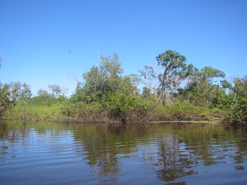   Rurrenabaque Bolivia Photo Sharing