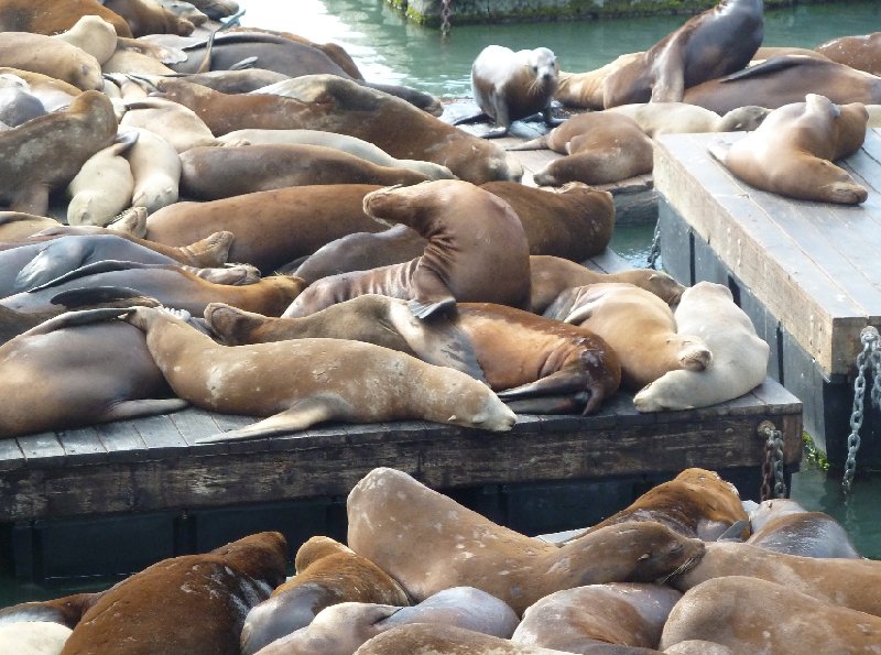 Photo San Francisco Boat Tour beautiful