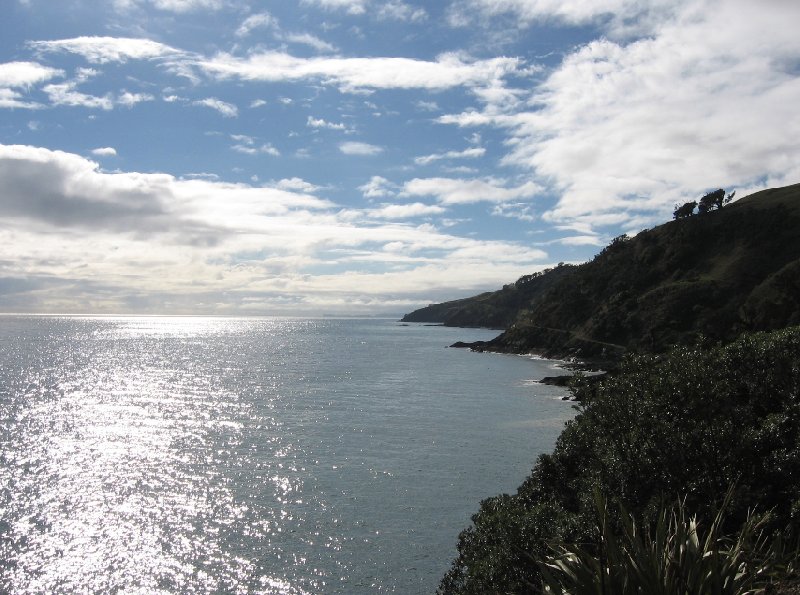   Coromandel New Zealand Diary Information