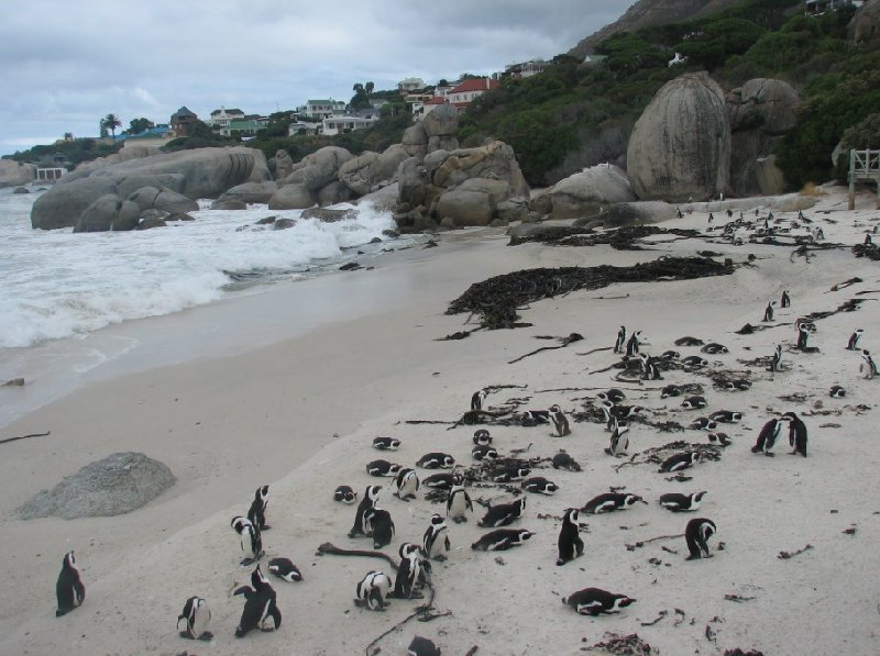 Cape Town Coastline South Africa Review Picture