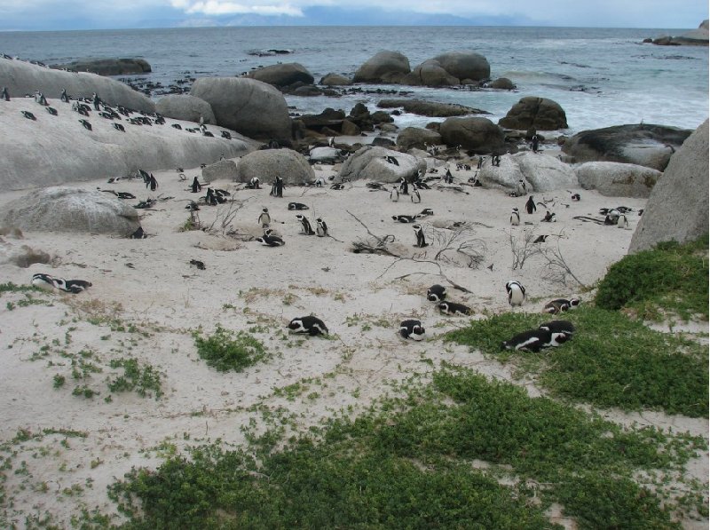 Cape Town Coastline South Africa Picture gallery