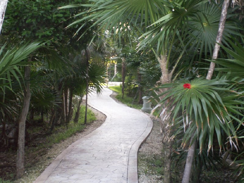   Playa del Carmen Mexico Vacation Picture