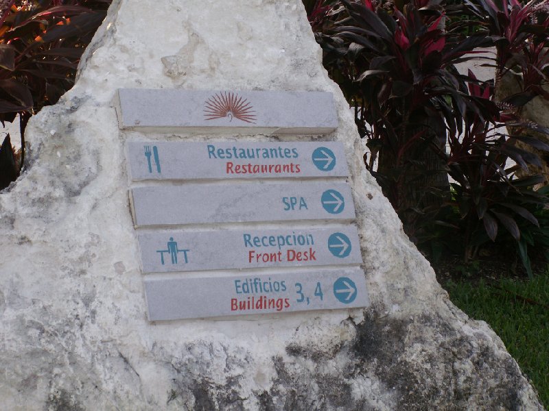   Playa del Carmen Mexico Diary Pictures