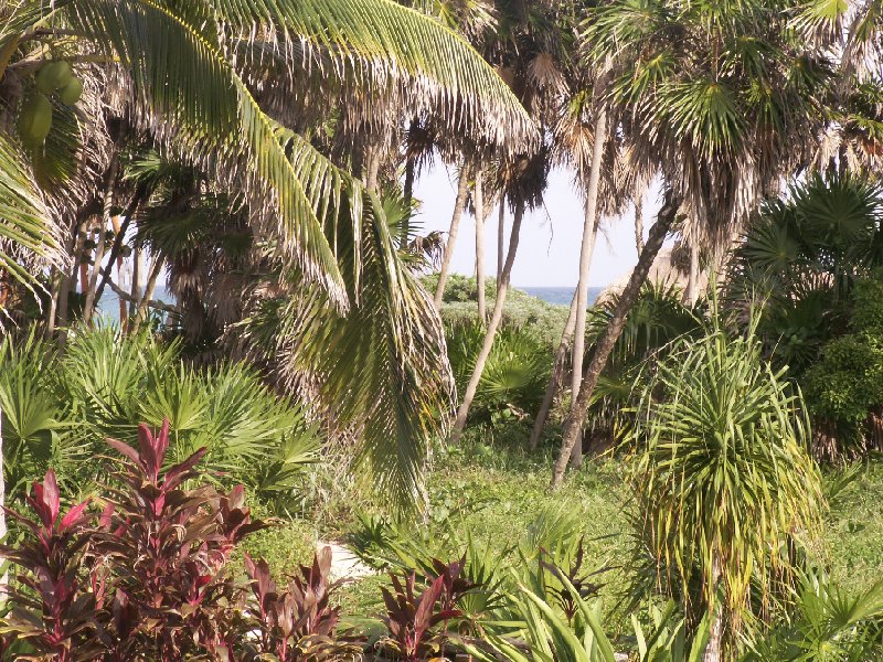   Playa del Carmen Mexico Trip Guide