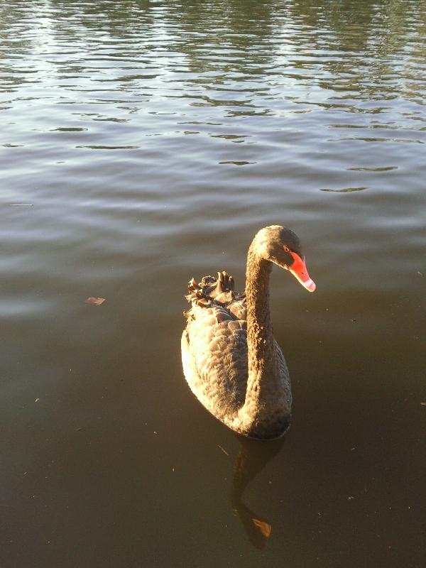Adelaide Australia 