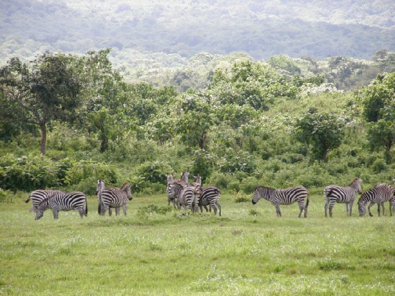 From Arusha to the Kuro Airstrip Tanzania Travel Blog