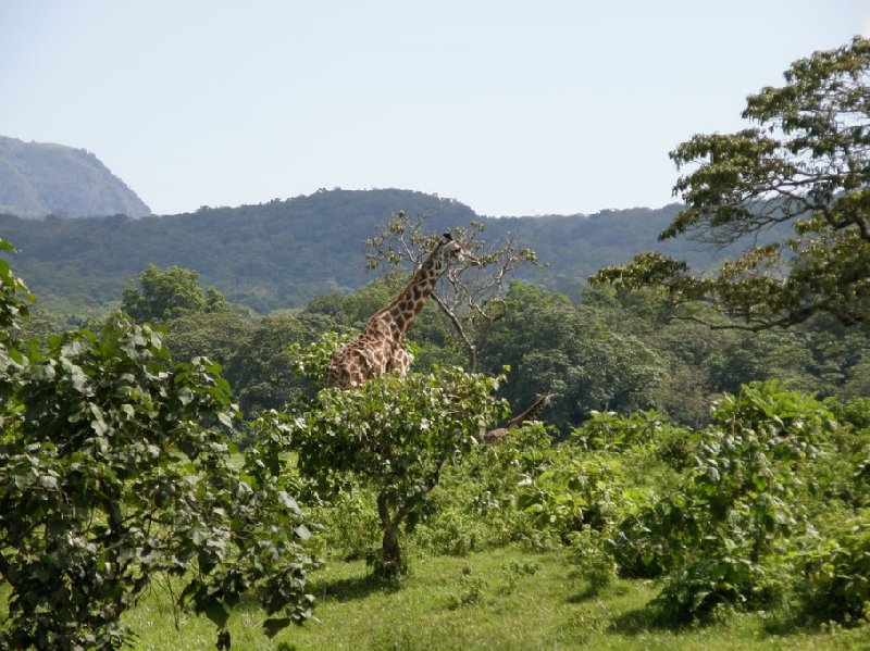 From Arusha to the Kuro Airstrip Tanzania Trip Experience