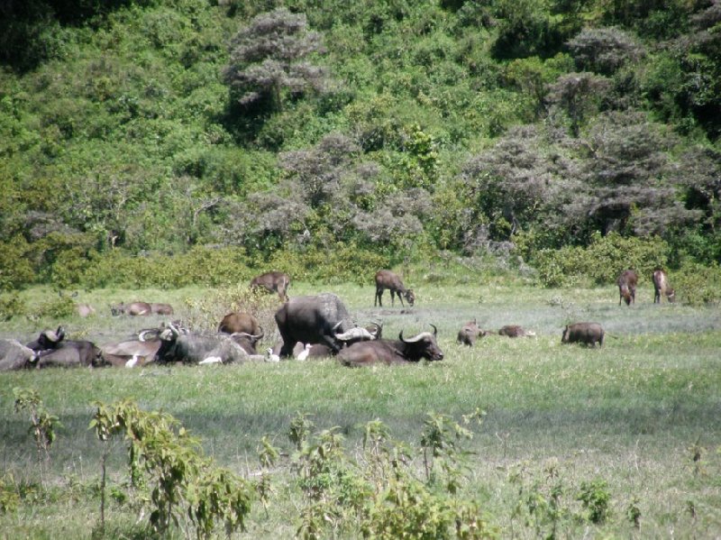 From Arusha to the Kuro Airstrip Tanzania Blog Photos