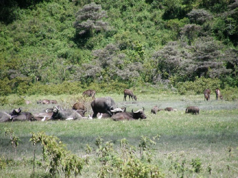   Arusha Tanzania Blog Photos