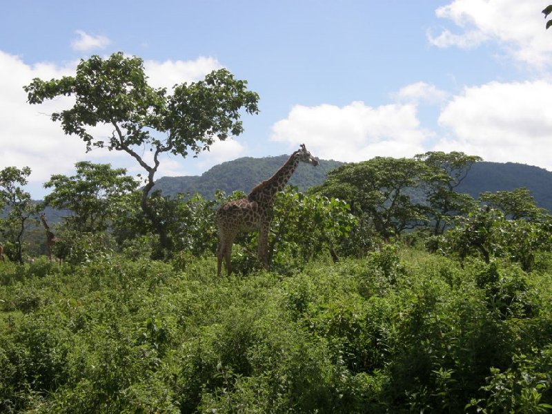 From Arusha to the Kuro Airstrip Tanzania Blog Photo