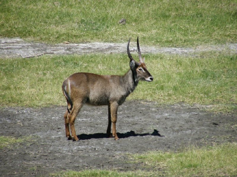 From Arusha to the Kuro Airstrip Tanzania Travel Photographs
