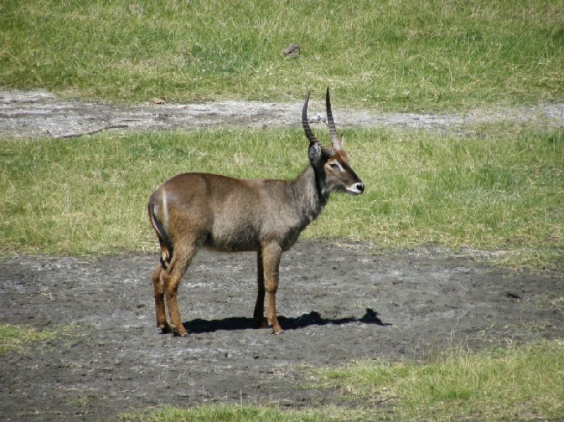 From Arusha to the Kuro Airstrip Tanzania Travel Photographs