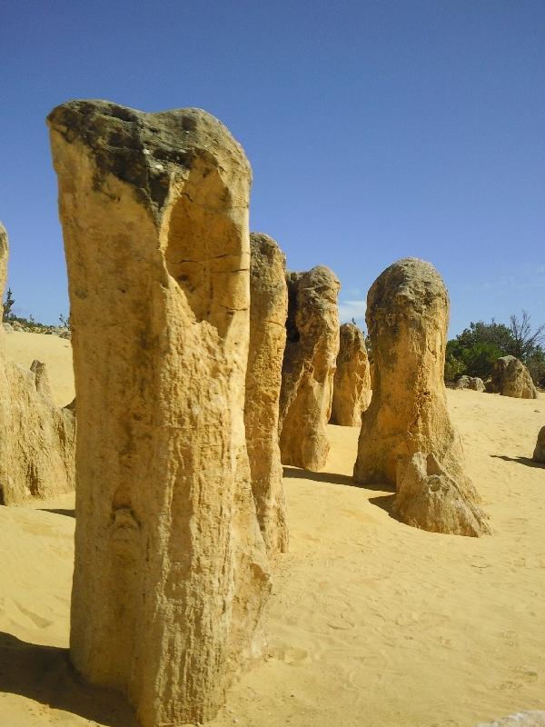 Photo Pinnacle Desert in rental car, Australia pictures