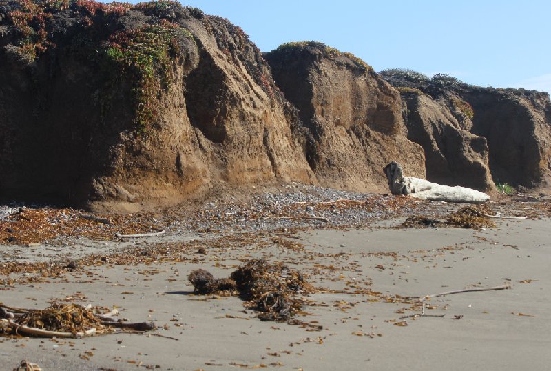 San Simeon United States 