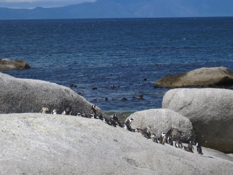 Cape Town Coastline South Africa Album Photographs