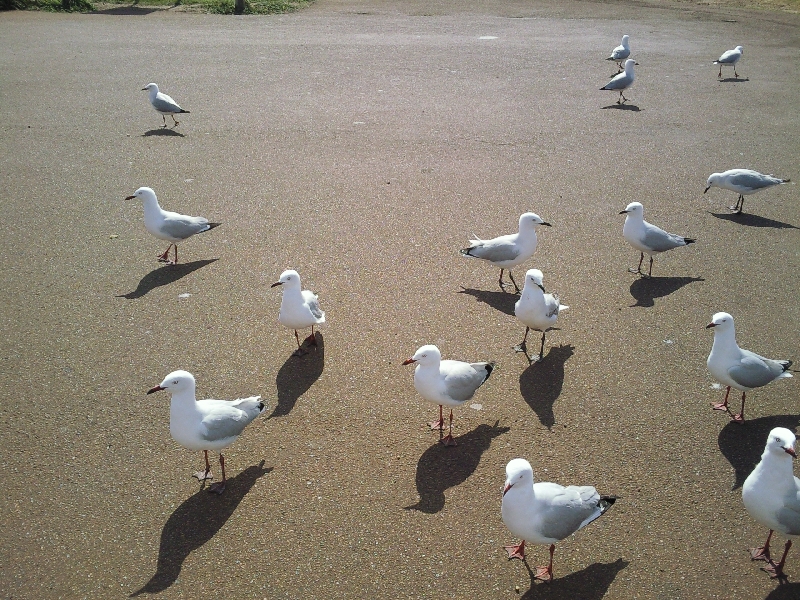 Cape Naturaliste Australia 