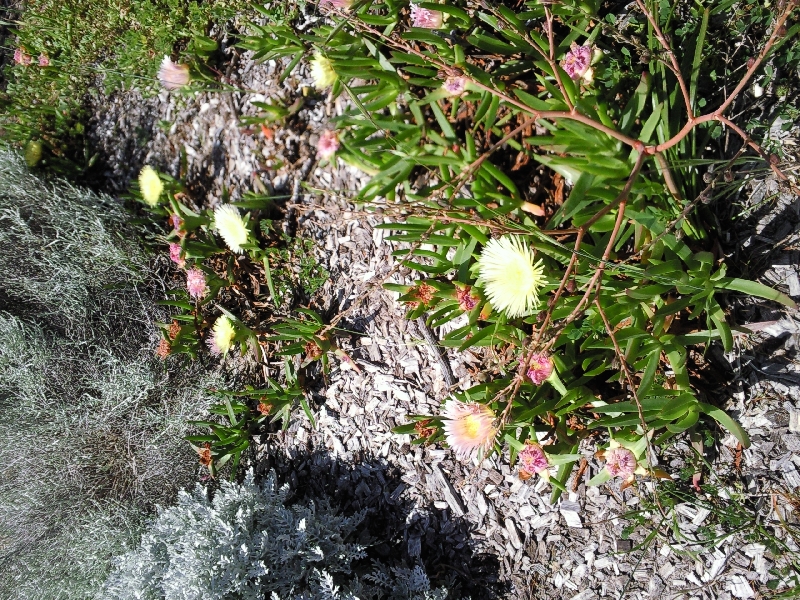 Photo Western Australia Tour, Cape Naturaliste called