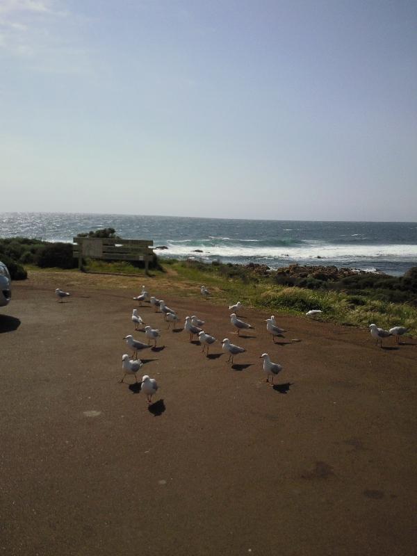 Photo Western Australia Tour, Cape Naturaliste Bunkers