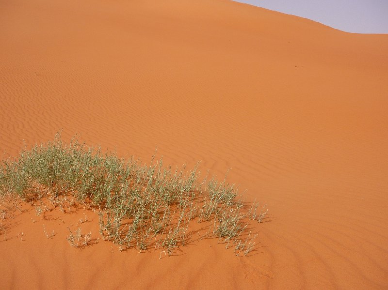 Libyan desert tour in the Sahara Tadrart Album Photos