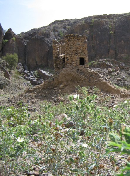 Photo Flight to Sana'a, my vacation in Yemen departure