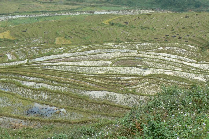 Trekking in Sapa Vietnam Sa Pa Vacation Photos