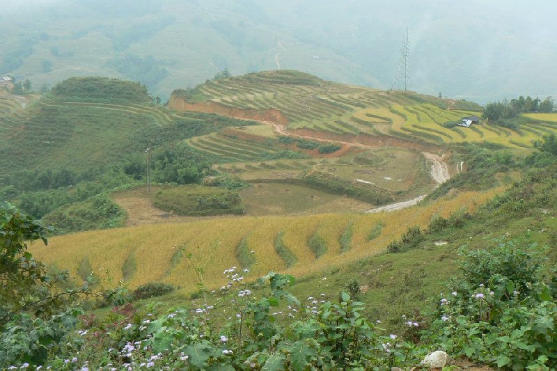 Trekking in Sapa Vietnam Sa Pa Album Photographs