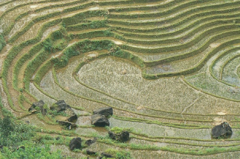 Trekking in Sapa Vietnam Sa Pa Blog Photography